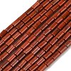 Natural Red Jasper Beads Strands G-P600-B03-01-2