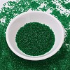 MIYUKI Delica Beads SEED-X0054-DB0705-2