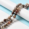 Natural Mexican Lace Agate Beads Strands G-E578-02C-4