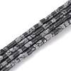 Natural Snowflake Obsidian Beads Strands G-H255-12-1