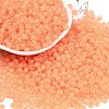 6/0 Luminous Glass Seed Beads SEED-NH0001-01D-2
