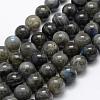 Natural Labradorite Beads Strands G-P322-31-12mm-1
