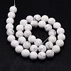 Natural Howlite Beads Strands TURQ-G090-10mm-2