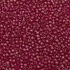 TOHO Round Seed Beads SEED-TR11-0165BF-2