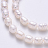 Natural Cultured Freshwater Pearl Beads Strands X-PEAR-I003-05-4