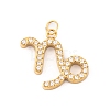 316 Stainless Steel Micro Pave Cubic Zirconia Pendants STAS-K284-01E-G-1