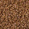 MIYUKI Round Rocailles Beads SEED-X0054-RR0345-3