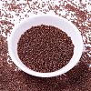 MIYUKI Delica Beads SEED-MY11-DB2160-2