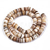 Natural Freshwater Shell Beads Strands X-SHEL-N003A-02-3
