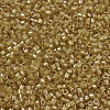 MIYUKI Delica Beads X-SEED-J020-DB0911-3