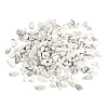 Natural Howlite Chip Beads G-FS0001-12-2