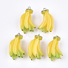 Resin Pendants RESI-T028-46-1
