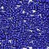 FGB 11/0 Grade A Glass Seed Beads X-SEED-S030-1024-2