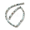 Natural Larimar Beads Strands G-Q024-B03-04-3