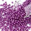 8/0 Glass Seed Beads SEED-A017-3mm-1116-1