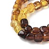Natural Amber Beads Strands G-L095-E01-02-4