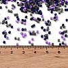 Baking Paint Glass Seed Beads X-SEED-S042-05B-54-4