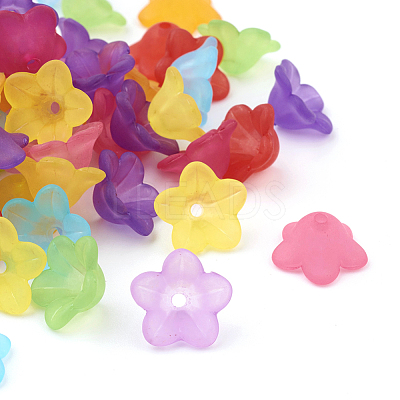 Transparent Acrylic Beads PL560M-1