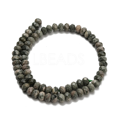 Natural Green Wood Lace Stone Wooden Jasper Beads Strands G-Z111-A15-02-1