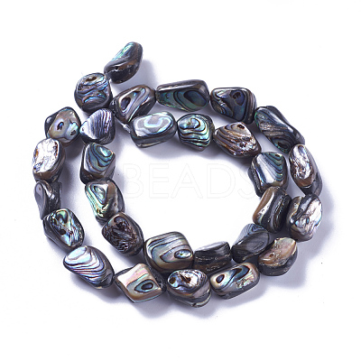 Natural Abalone Shell/Paua Shell Beads Strands SSHEL-F303-08B-1