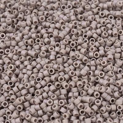 MIYUKI Delica Beads X-SEED-J020-DB2305-1