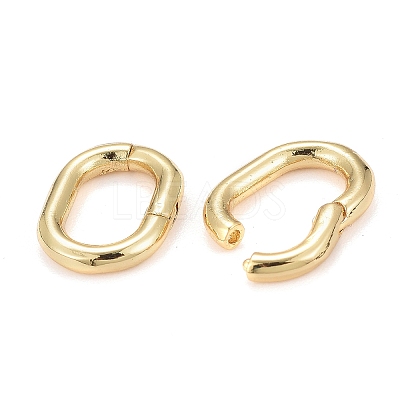 Brass Twister Clasps X-KK-F821-02G-1