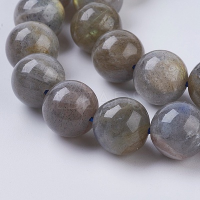 Natural Labradorite Beads Strands X-G-G212-10mm-23-1