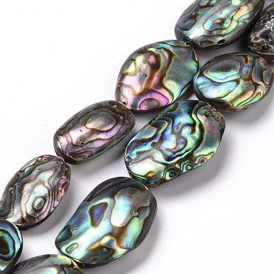Natural Abalone Shell/Paua Shell Beads SSHEL-E379-1-1