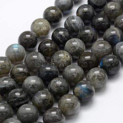 Natural Labradorite Beads Strands G-P322-31-12mm-1