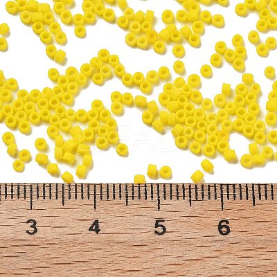 Frosted Colours Glass Seed Beads SEED-H003-06B-1
