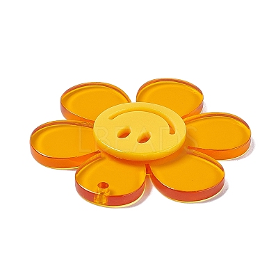 Transparent Acrylic Big Pendants LS-OACR-P012-A01-1