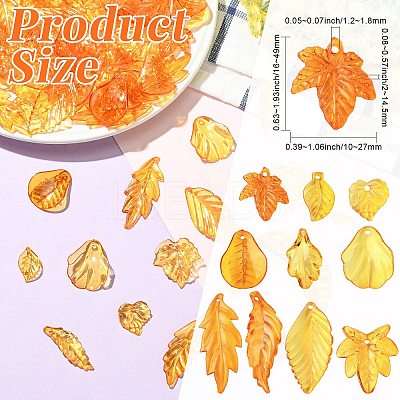 50G Transparent Acrylic Pendants TACR-CJC0005-05-1