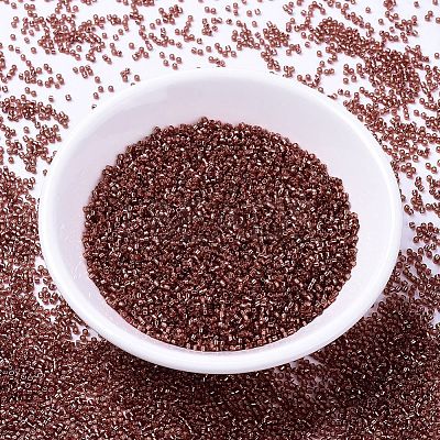 MIYUKI Delica Beads SEED-MY11-DB2160-1