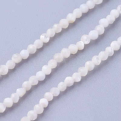 Shell Beads Strands G-F619-27-2mm-1