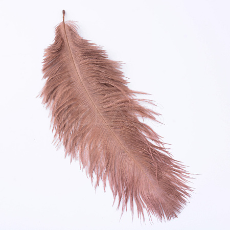 Ostrich Feather Costume Accessories FIND-R036-A-01-1