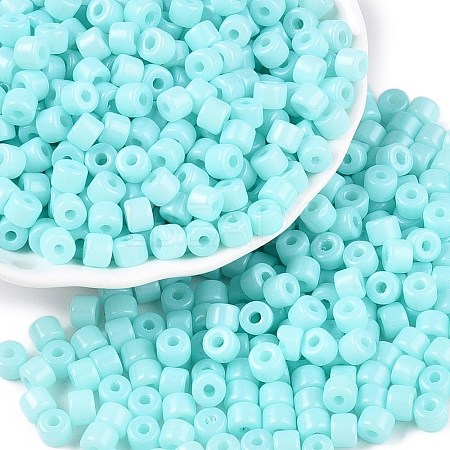 Opaque Baking Paint Glass Seed Beads SEED-T008-02N-1