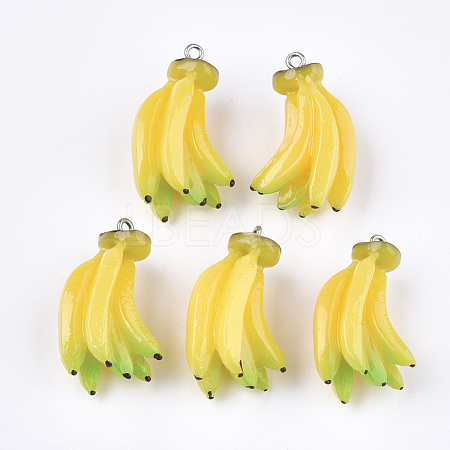 Resin Pendants RESI-T028-46-1