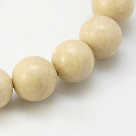 Natural Fossil Beads Strands G-E110-12mm-2-1