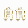 Alloy Charms LS-PALLOY-Q441-025R-NR-2