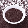 MIYUKI Delica Beads X-SEED-J020-DB1134-2