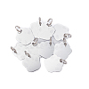 60Pcs 2 Style Aluminum Alloy Pendants ALUM-BC0001-63A-4