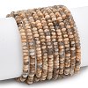 Natural Feldspar Beads Strands G-K343-C53-01-2