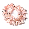 Dyed Natural Trochus Shell Beads Strands SSHEL-C013-09L-2