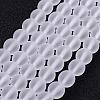 Frosted Glass Bead Strands GLAA-G016-10mm-01-1