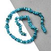Natural Freshwater Shell Beads Strands BSHE-I016-01A-4