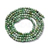 Natural Variscite Beads Strands G-G188-B05-03-3