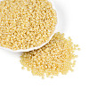 Glass Seed Beads SEED-A011-3mm-142-1