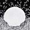 FGB Frosted Transparent Glass Seed Beads SEED-N013-02A-01-2