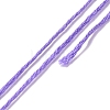 100 Skeins 100 Colors 6-Ply Polyester Embroidery Floss X1-OCOR-G010-03-3