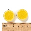 Opaque Resin Pendants RESI-Z042-01P-02-3